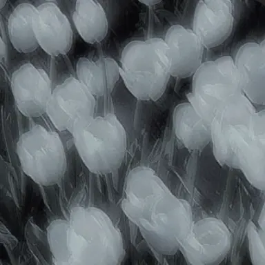 Profile image of 뤼엔