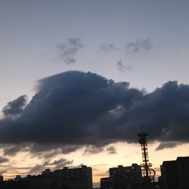 Profile image of 평학