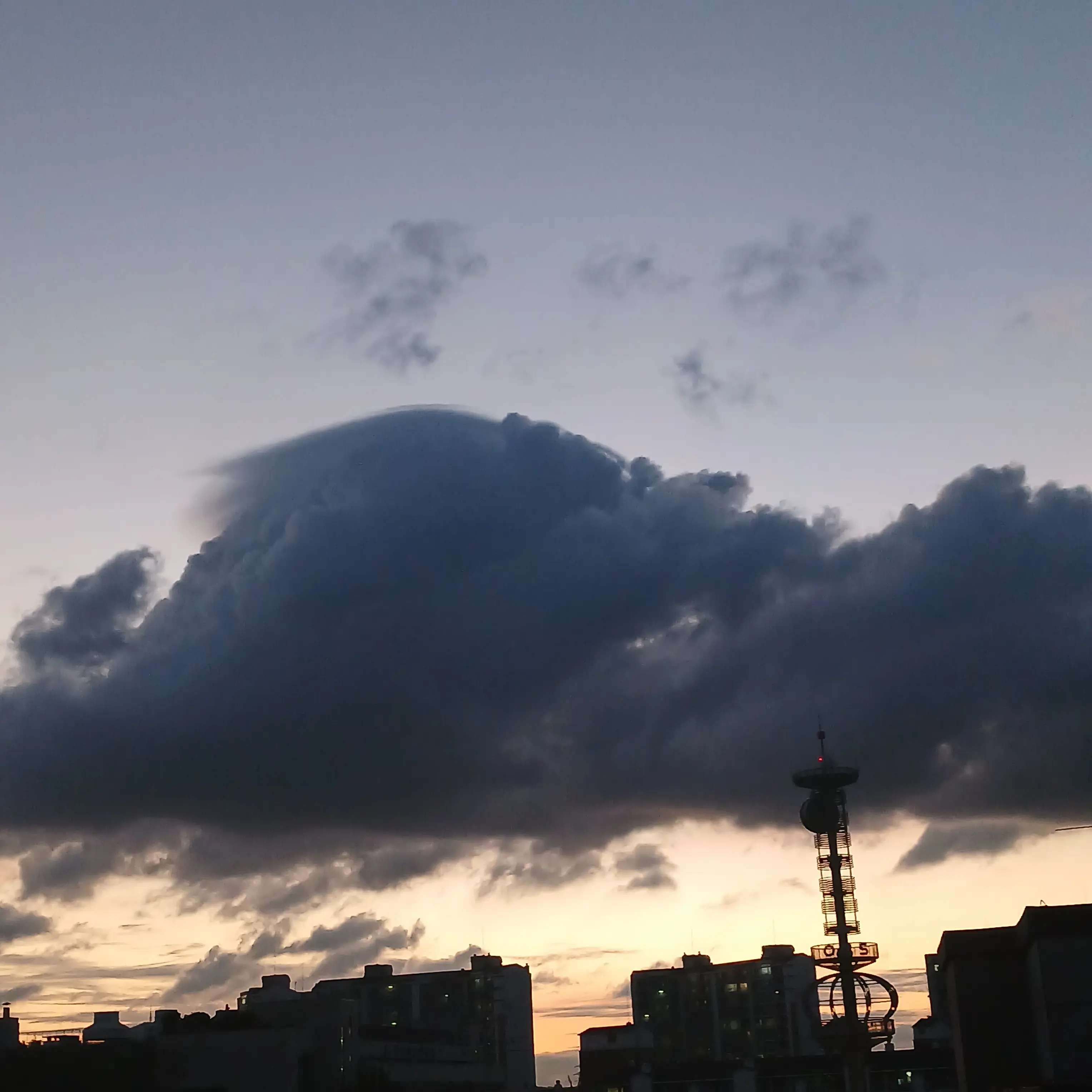 SheerBid5651의 평,,학