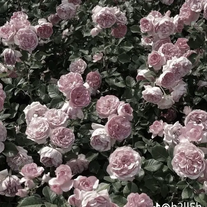 DirectLuck9203의 김 설