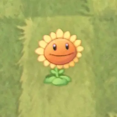 Profile image of 해바라기