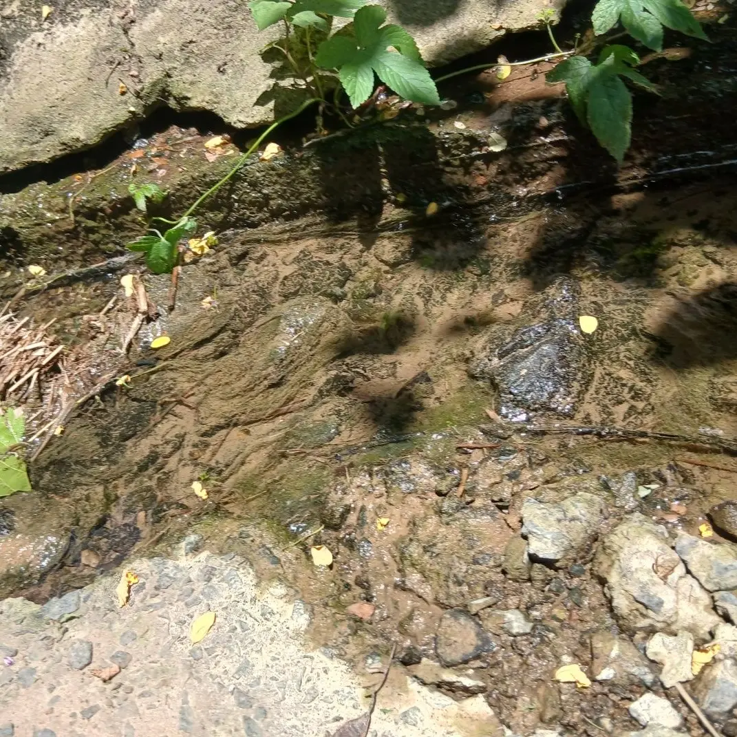 CreamyTear1333의 나 내일 눈 기증 받아