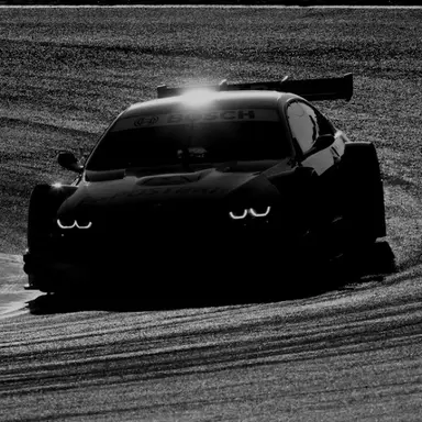 Profile image of Enzo