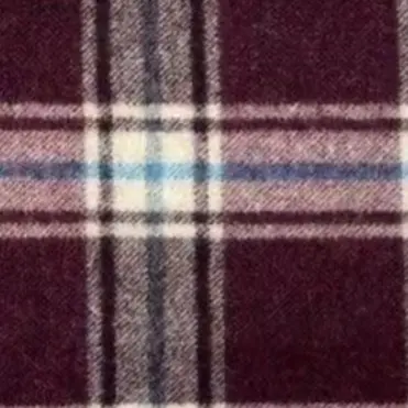 Profile image of 樋口一葉