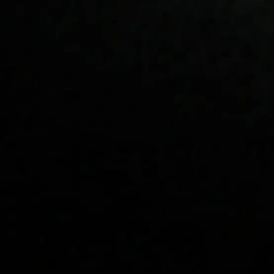 __xqunl의 ︎
