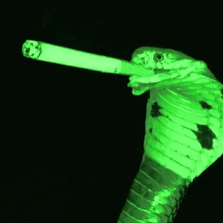 Qmffhq의 🐍