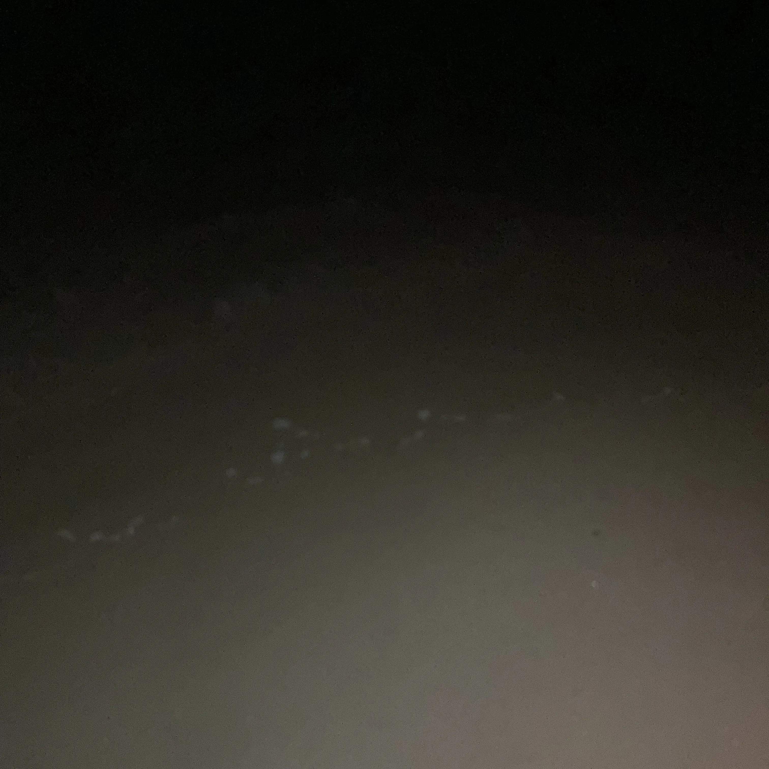EarthyKiwi5445의 ぷじぇぽら会社