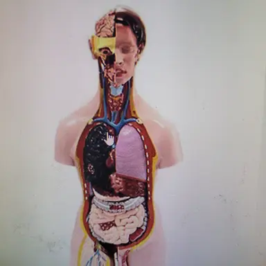 Profile image of 장기들3