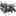 리토리오