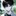 최은호