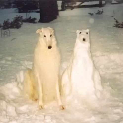 yw2의 Maxwell Smiths