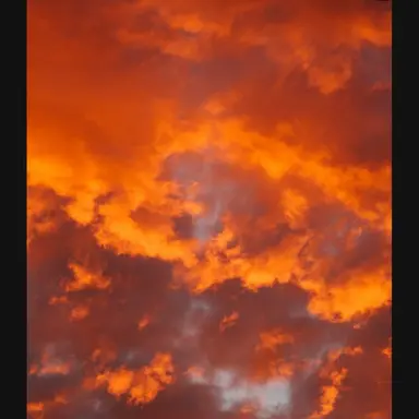 Profile image of 덕경장