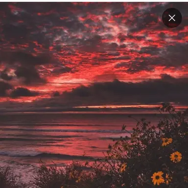 Profile image of 라경장