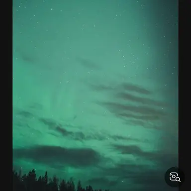 Profile image of 공경장