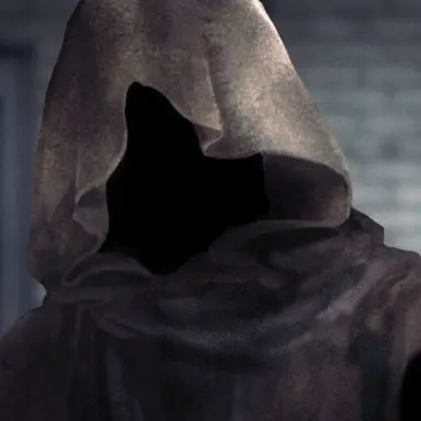 Profile image of フードの男