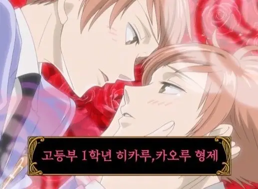 Profile image of 히카루