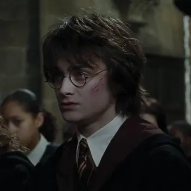 Profile image of Harry Potter