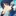 放浪者