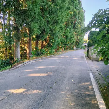 Profile image of 藤澤 涼架