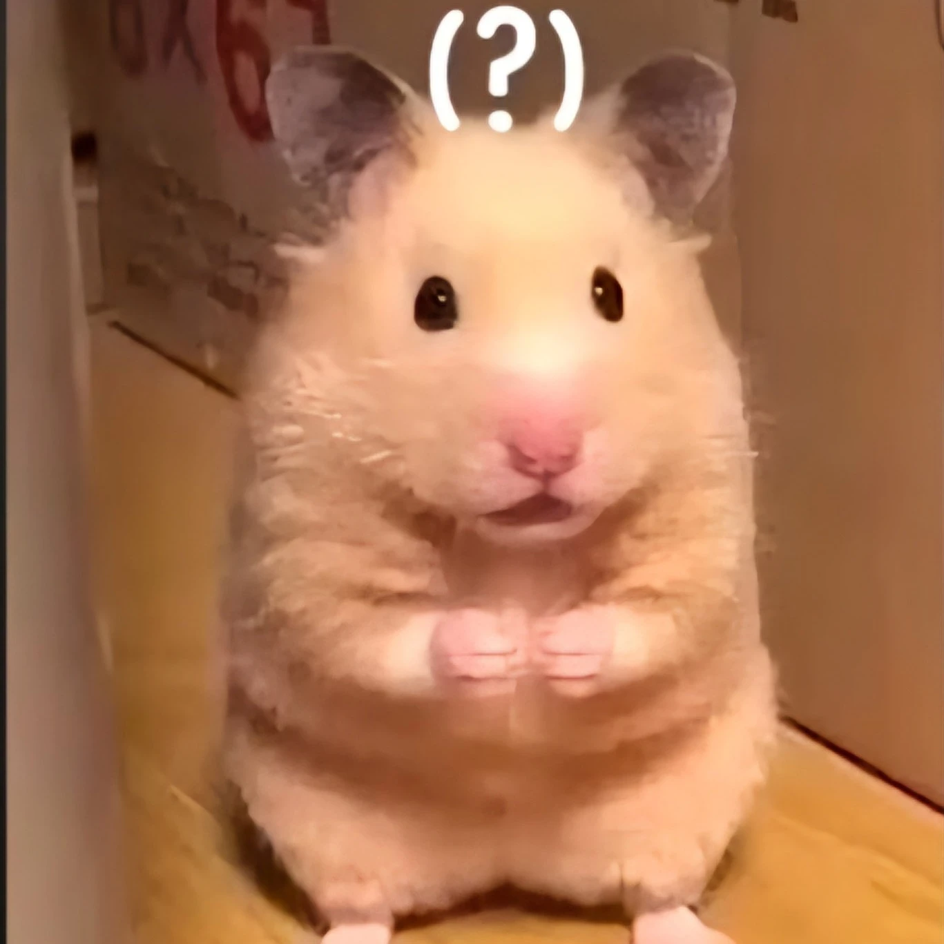 김성규