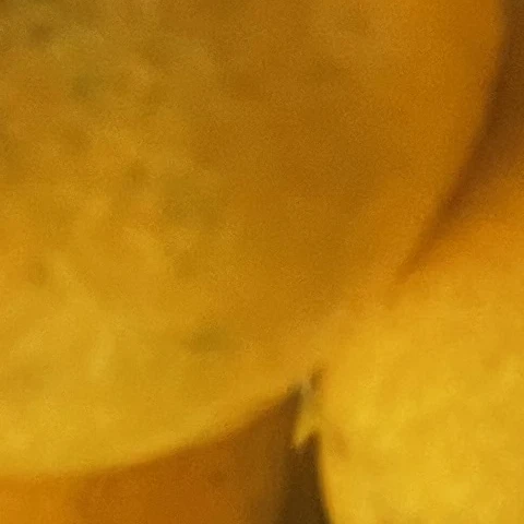 이유한