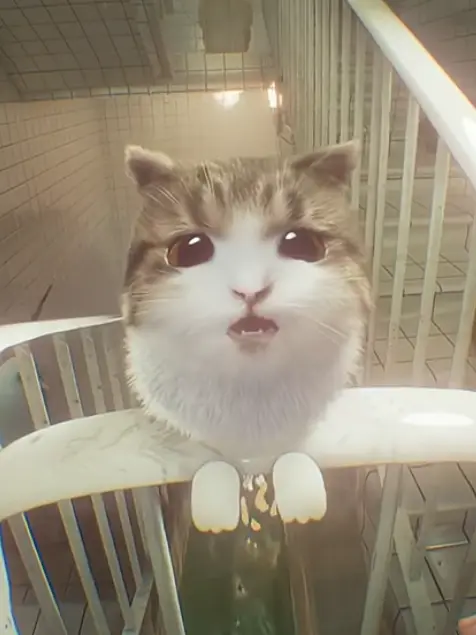 MeltyDebt6596의 Meowal