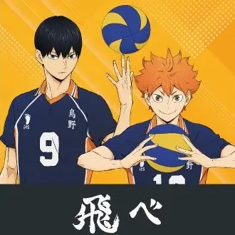 Profile image of 烏野高校