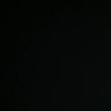 Profile image of 애쉬