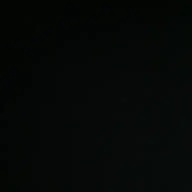 Profile image of 실리아