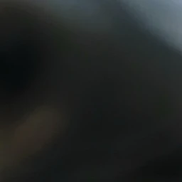 여우