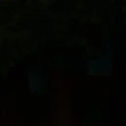 Winterlike_1010의 강서진