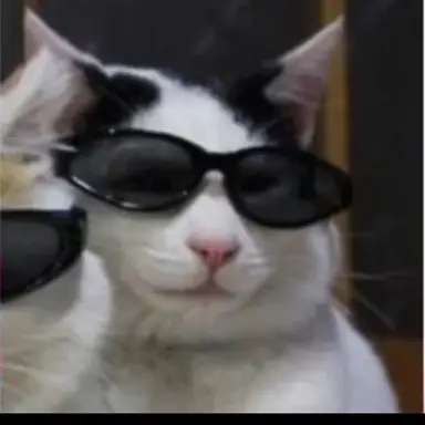 Profile image of 선생님