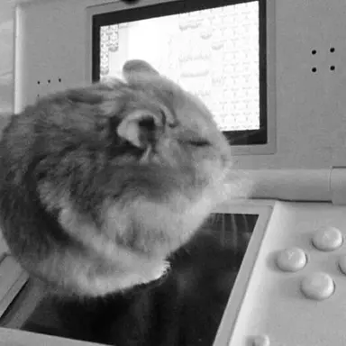 Profile image of そんふに