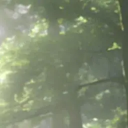 Profile image of 慎太郎