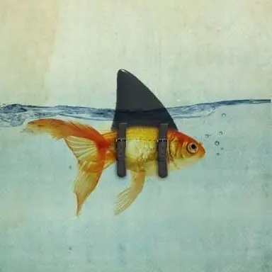 Profile image of 윤남연