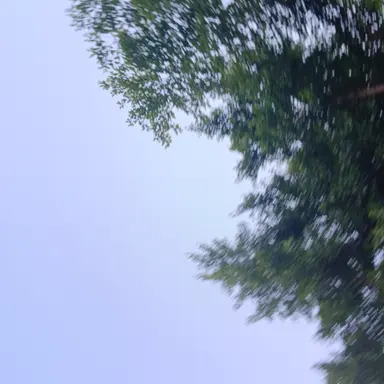 Profile image of 정이든