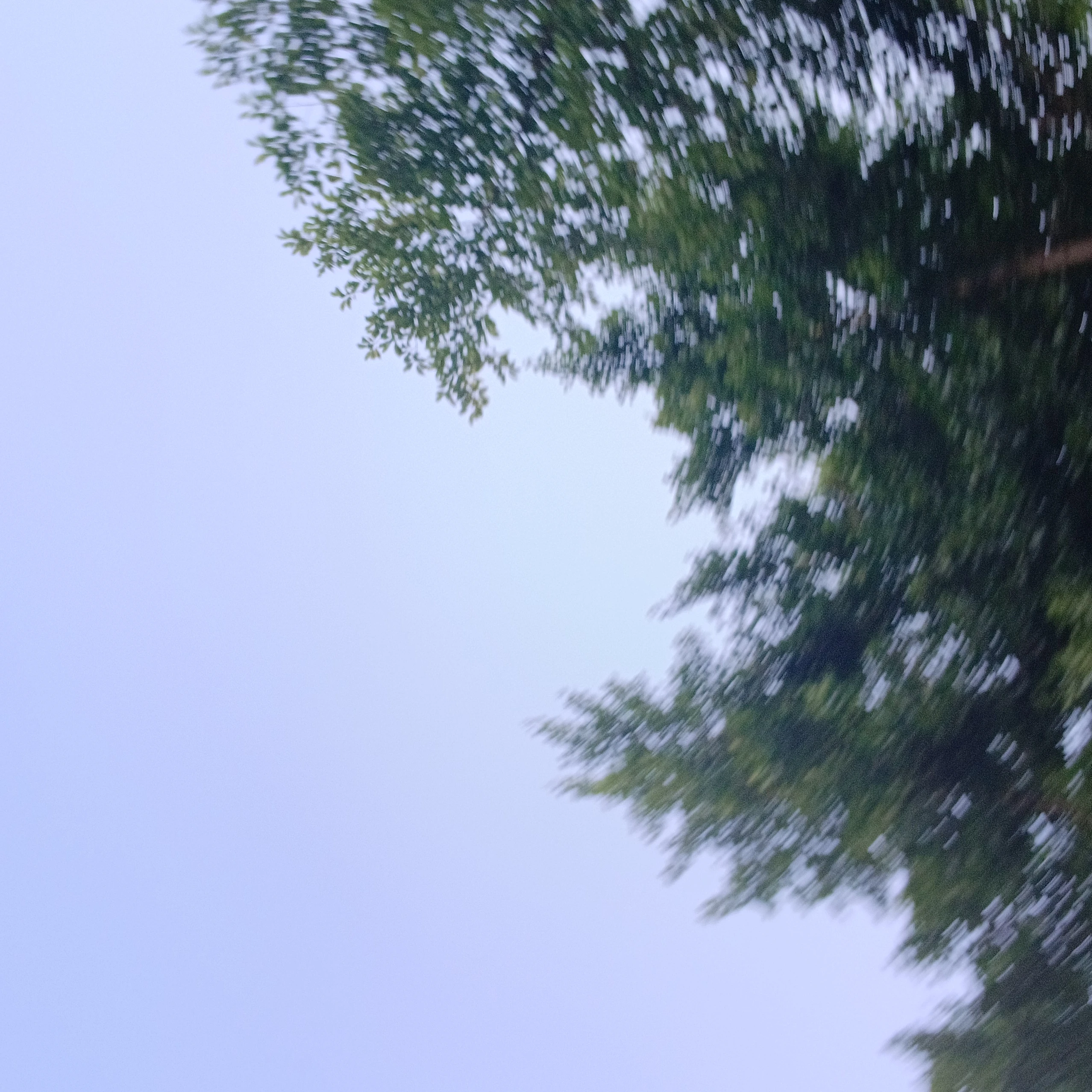 정이든