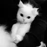 Profile image of 勇志