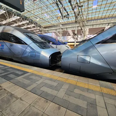 Profile image of 청룡