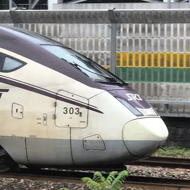 Profile image of SRT