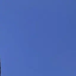 Profile image of 琉唯