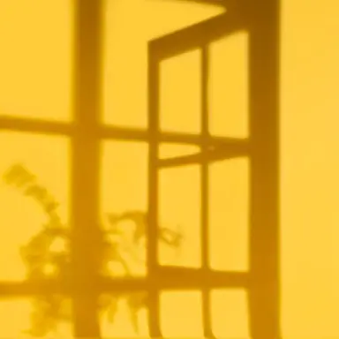 Profile image of 쪼만