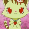 Profile image of サンゴ