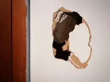 Profile image of Stuck in the wall