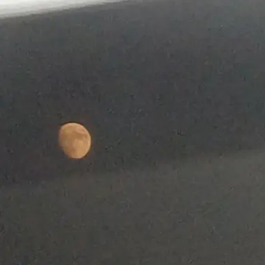 Profile image of 에이션트 채팅방