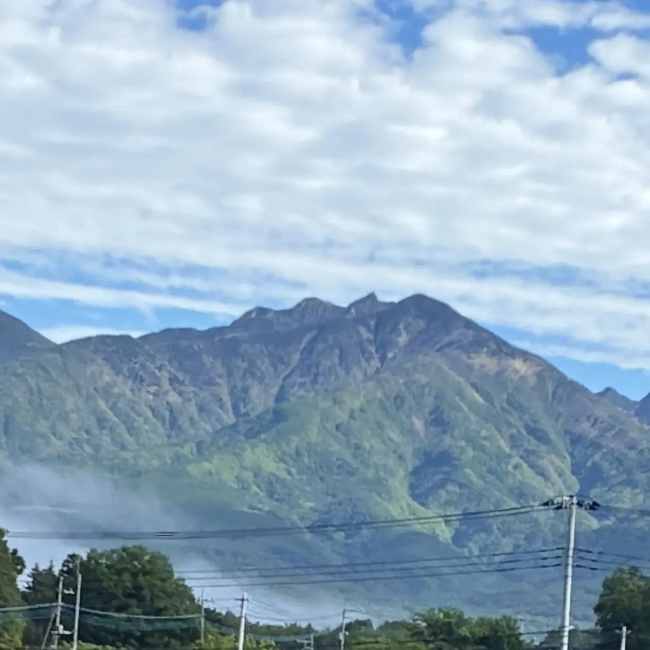 FoggyWing0857의 夏コラボメンバー