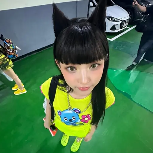 YouBombgun의 강고양이