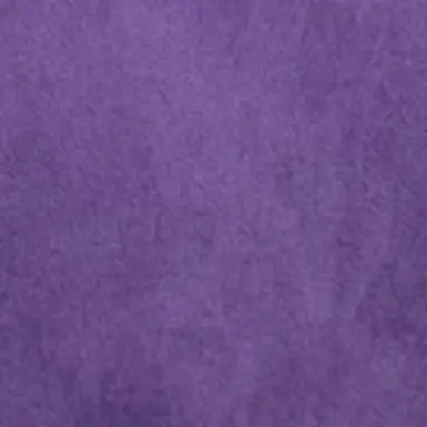 Profile image of レディナガン
