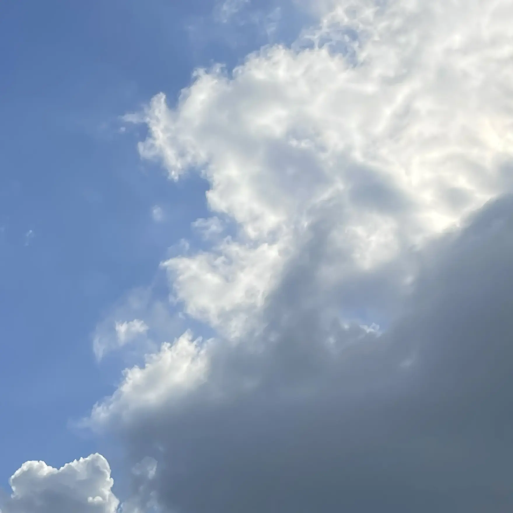 PurelyCloud4583의 최원훈