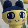 Profile image of 도해성